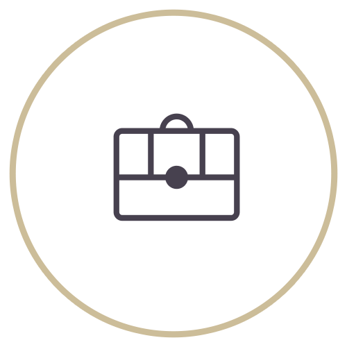 Bag Icon